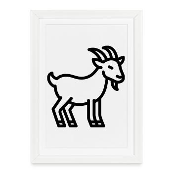 chèvre - Affiche encadrée (27 × 37 cm) - blanc - Devant