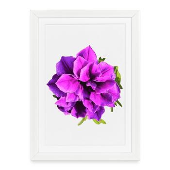 Fleur de pétunia violette - Affiche encadrée (27 × 37 cm) - blanc - Devant