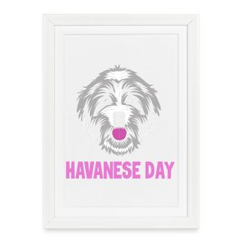Chien bichon havanais - Affiche encadrée (27 × 37 cm) - blanc - Devant