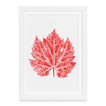 Feuille de vigne / Rouge / Feuille de vin - Affiche encadrée (27 × 37 cm) - blanc - Devant