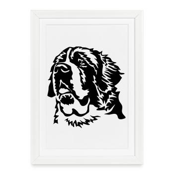 Tête de Saint Bernard - Affiche encadrée (27 × 37 cm) - blanc - Devant