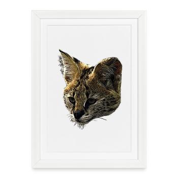 Toile Serval, grands félins, motifs animaliers - Affiche encadrée (27 × 37 cm) - blanc - Devant