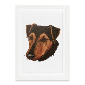 Jagdterrier Portrait - Framed poster (27 × 37 cm) - white - Front