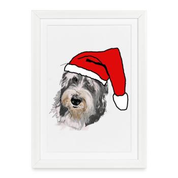 Collie barbu - Affiche encadrée (27 × 37 cm) - blanc - Devant