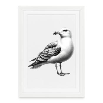 Mouette - Affiche encadrée (27 × 37 cm) - blanc - Devant