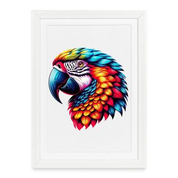 Perroquet - Affiche encadrée (27 × 37 cm) - blanc - Devant