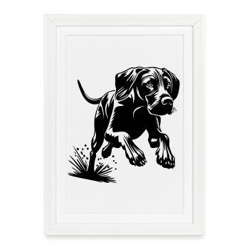 Magyar Vizsla - Framed poster (27 × 37 cm) - white - Front