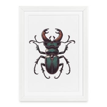 Cerf-volant - Affiche encadrée (27 × 37 cm) - blanc - Devant