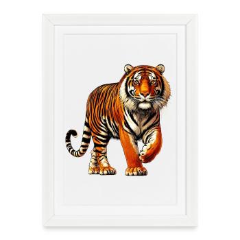 Tigre - Affiche encadrée (27 × 37 cm) - blanc - Devant