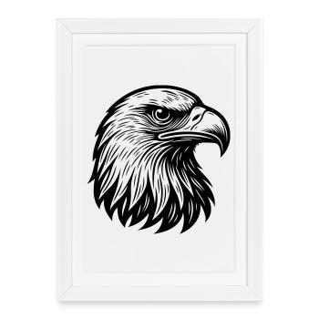 Aigle Tête d’aigle majestueuse - Affiche encadrée (27 × 37 cm) - blanc - Devant