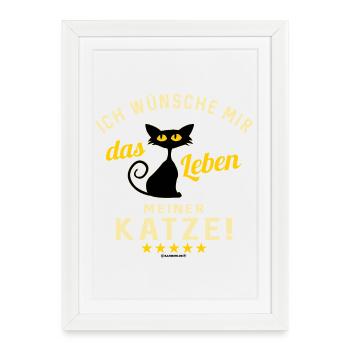 Citation humoristique de chat sur la chemise - Affiche encadrée (27 × 37 cm) - blanc - Devant