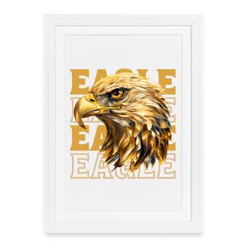 Tête d’aigle Or Oiseau de proie Oiseau Nature animale - Affiche encadrée (27 × 37 cm) - blanc - Devant