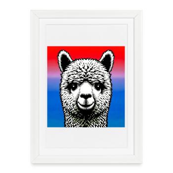 Alpaga - Affiche encadrée (27 × 37 cm) - blanc - Devant