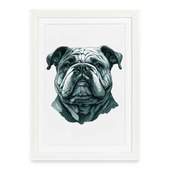 Bouledogue chien Portrait bulldog - Affiche encadrée (27 × 37 cm) - blanc - Devant