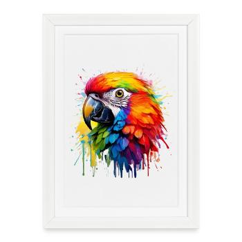 Éclaboussure colorée de perroquet paradisique - Affiche encadrée (27 × 37 cm) - blanc - Devant