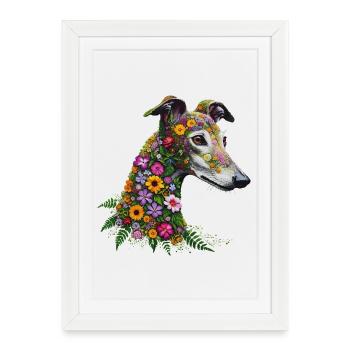 Galgo Wildblumen Nr1 - Gerahmtes Poster (27 × 37 cm) - Weiß - Vorne