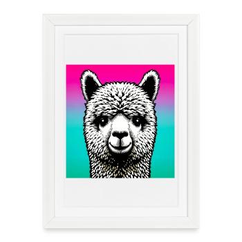 Alpaga - Affiche encadrée (27 × 37 cm) - blanc - Devant