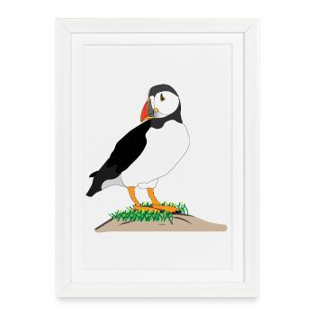 Imprimé de macareux - Affiche encadrée (27 × 37 cm) - blanc - Devant
