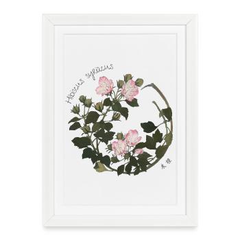 Zeshin’s Bloom – Hibiscus Syriacus Japanese Floral - Framed poster (27 × 37 cm) - white - Front