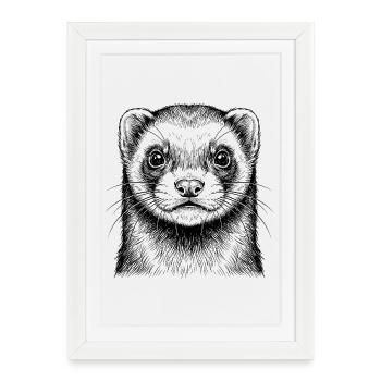 Furet - Affiche encadrée (27 × 37 cm) - blanc - Devant
