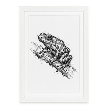 Poison Dart Frog Sketch - Modern Nature Design - Framed poster (27 × 37 cm) - white - Front