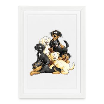 Cadeau de chien de bande dessinée tas hovawart chien - Affiche encadrée (27 × 37 cm) - blanc - Devant