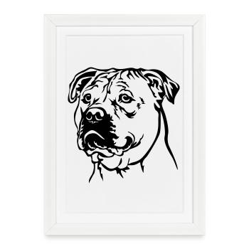 Perro Dogo Mallorquin Head - Framed poster (27 × 37 cm) - white - Front