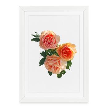 Bouquet de Pêche et Roses - Affiche encadrée (27 × 37 cm) - blanc - Devant