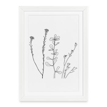 Art au trait floral - Affiche encadrée (27 × 37 cm) - blanc - Devant
