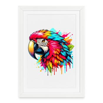 Perroquet - Affiche encadrée (27 × 37 cm) - blanc - Devant