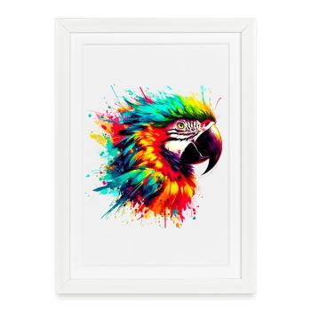 Perroquet - Affiche encadrée (27 × 37 cm) - blanc - Devant