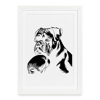 Dessin de chien boxeur - Affiche encadrée (27 × 37 cm) - blanc - Devant