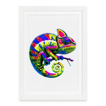 Chameleon - Framed poster (27 × 37 cm) - white - Front