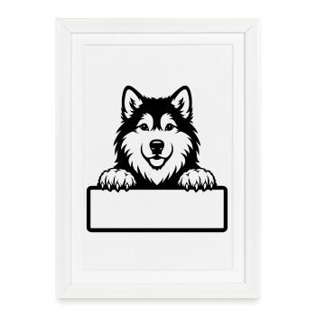 Badge nominatif de chiot Alaskan Malamute noir et blanc - Affiche encadrée (27 × 37 cm) - blanc - Devant