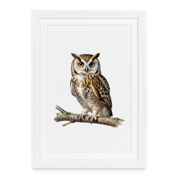 Nocturnal Owl on Branch - Framed poster (27 × 37 cm) - white - Front