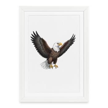 White-tailed Eagle Osprey Bird of Prey Gift - Framed poster (27 × 37 cm) - white - Front