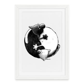 "Black and White" - Yin Yang - Chats - Affiche encadrée (27 × 37 cm) - blanc - Devant