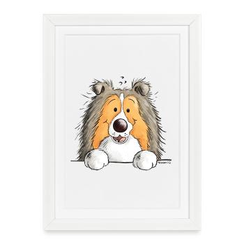 Berger des Shetland Chien - Shetland Sheepdog - Affiche encadrée (27 × 37 cm) - blanc - Devant