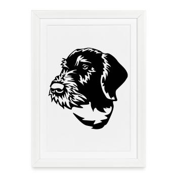 German Wirehaired Pointer - Framed poster (27 × 37 cm) - white - Front