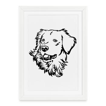 Tête de golden retriever - Affiche encadrée (27 × 37 cm) - blanc - Devant