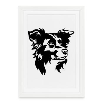 Tête de Border Collie - Affiche encadrée (27 × 37 cm) - blanc - Devant