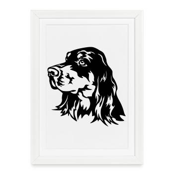Gordon Setter Tête - Affiche encadrée (27 × 37 cm) - blanc - Devant