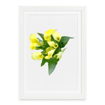 Delicate yellow calla flowers - Framed poster (27 × 37 cm) - white - Front