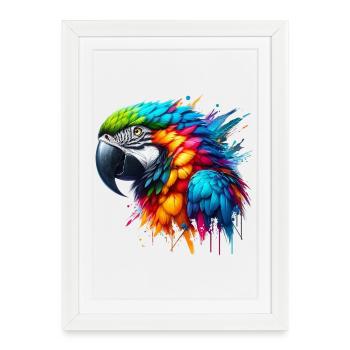 Perroquet - Affiche encadrée (27 × 37 cm) - blanc - Devant