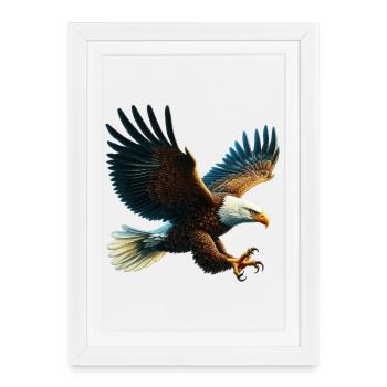 Aigle - Affiche encadrée (27 × 37 cm) - blanc - Devant