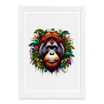 Orang-outan Singe Orang-outan - Affiche encadrée (27 × 37 cm) - blanc - Devant