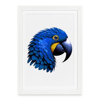 Perroquet - Affiche encadrée (27 × 37 cm) - blanc - Devant