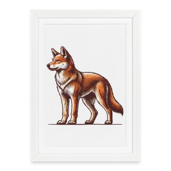 Dingo - Affiche encadrée (27 × 37 cm) - blanc - Devant