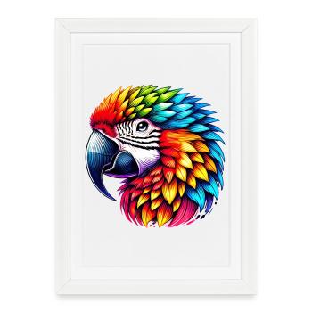 Perroquet - Affiche encadrée (27 × 37 cm) - blanc - Devant
