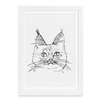 Chat de race - Affiche encadrée (27 × 37 cm) - blanc - Devant